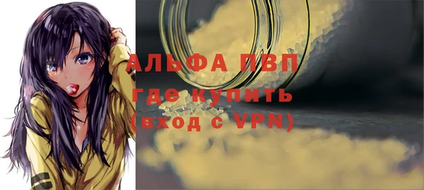 сатива Аркадак