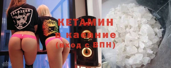 сатива Аркадак