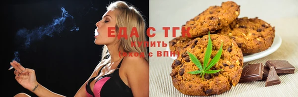 сатива Аркадак
