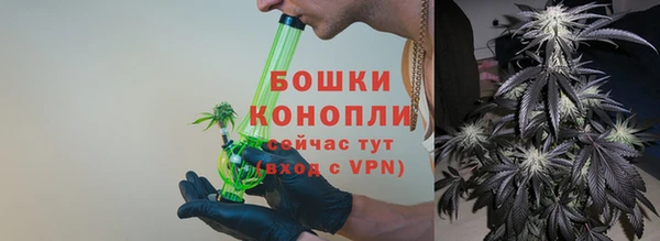 прущие грибы Арсеньев