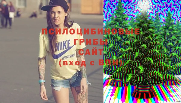 сатива Аркадак