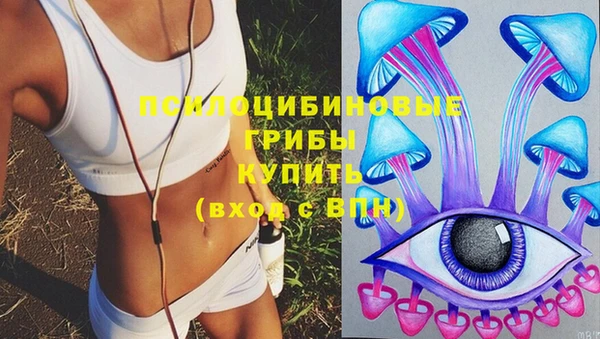 гидропоника Армянск